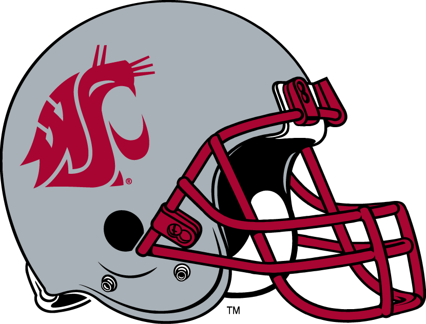 Washington State Cougars 1999-Pres Helmet Logo iron on transfers for clothing